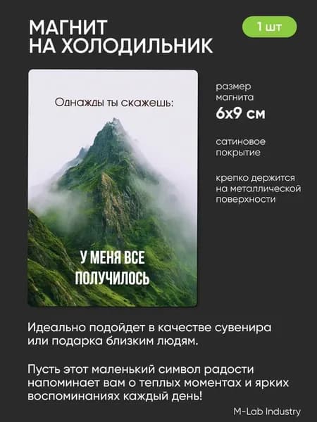Магнит прикол для друзей, коллеги и близких в подарок, мотивация, юмор, 1шт, 6х9см