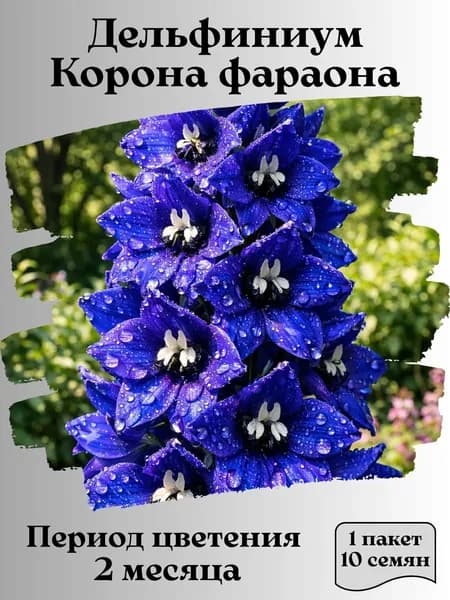 Дельфиниум Корона фараона, семена, 10 шт.