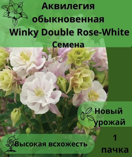 Аквилегия обыкновенная Winky Double Rose-White, семена 10шт