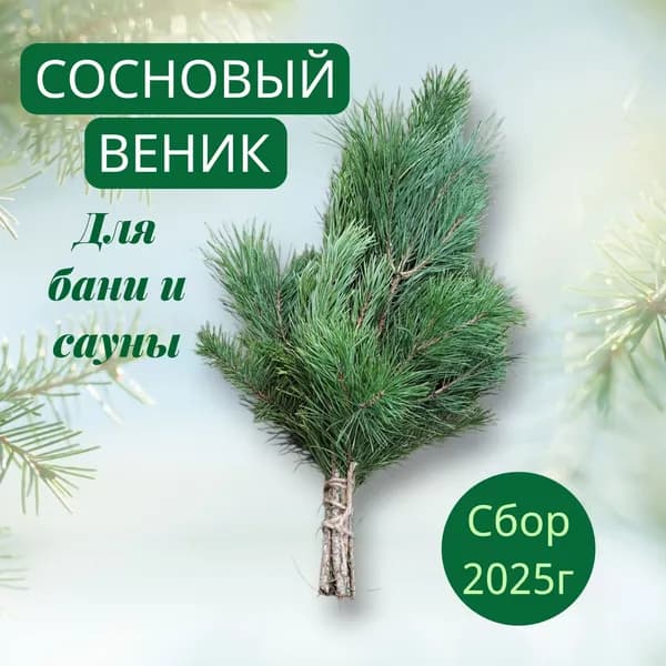 Веник для бани Сосновый, 1 шт.
