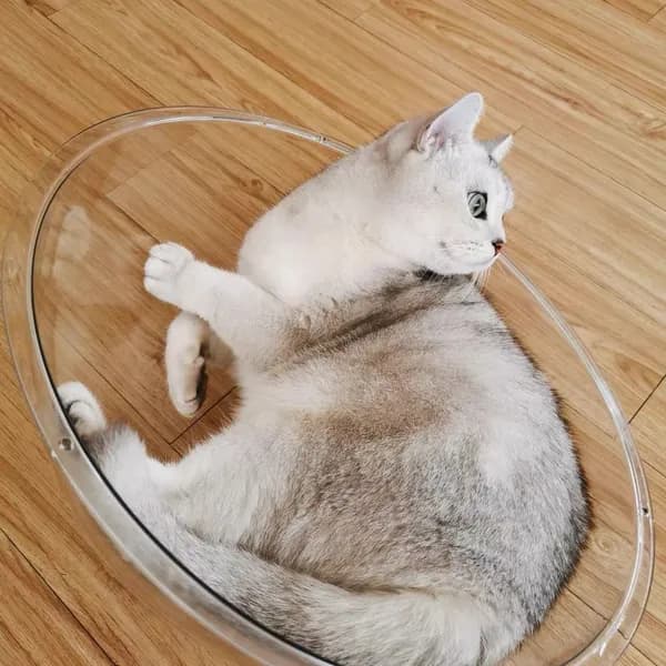 Клетка для животных
