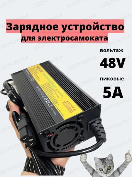 Зарядное устройство 48v-5A для электросамоката/электровелосипеда, разъем С13