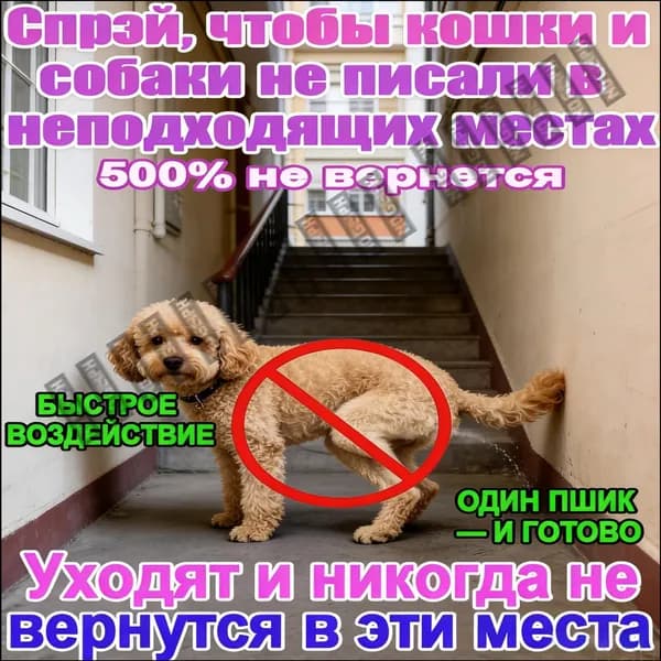 Отпугивающий спрей Антигрызин от кошек и собак: чтобы не гадили и не портили вещи. Эффективная защита дома от