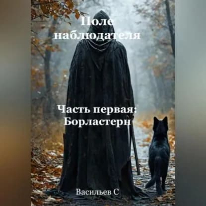 Поле наблюдателя. Часть первая: Борластерн. | Васильев Степан Леонидович | Электронная аудиокнига