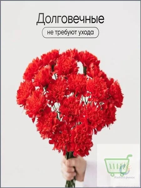 Букет из 20 искусственных гвоздик премиум