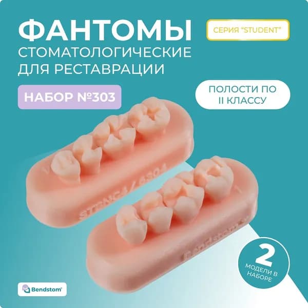 Набор №303 жевательные блоки Student (2 штуки) препарированные по II классу, маленькие полости / модели для реставрации / стоматологический тренажер