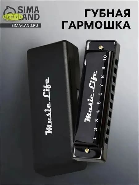 Губная гармошка диатоническая, C-major, с футляром, черная