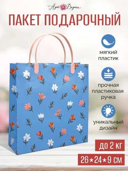 Подарочный пакет ПВХ (пластиковый) Арт и Дизайн размер M