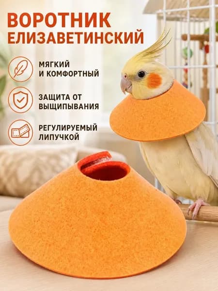 Защитный ошейник от укуса птицы