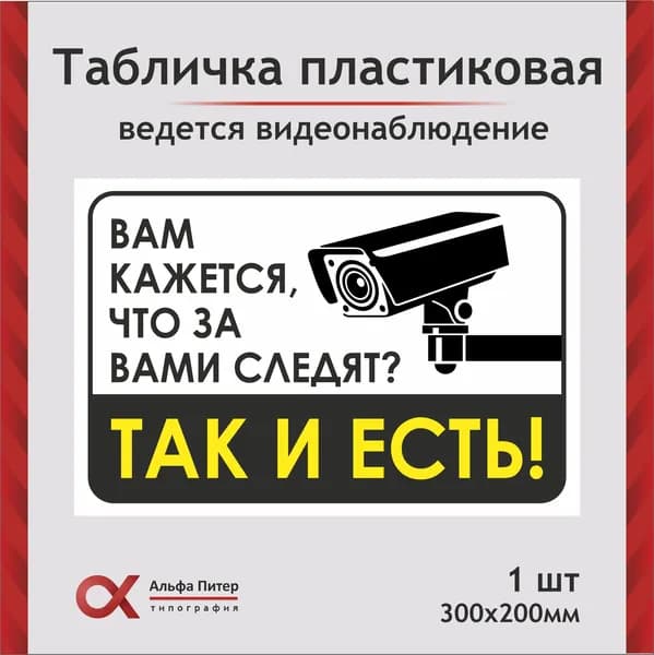 Табличка прикольная информационная "Вам кажется, что за Вами следят? Вам не кажется!", 30х20 см