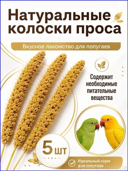 Чумиза для попугаев 5 шт. сенегальское просо лакомство игрушка для птиц и грызунов , урожай 2025 года - КОПОШИЛКА бренд от производителя