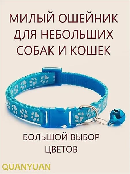 Ошейник
