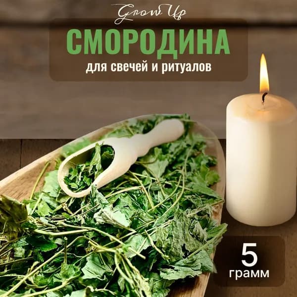 Смородина сушеные листья 5 гр - сухоцветы для свечей, творчества и ритуалов
