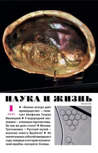 Наука и жизнь No01/2022 | Электронная книга
