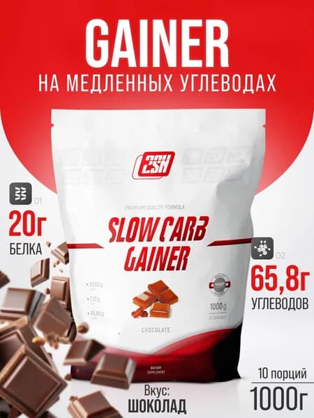 Гейнер на основе медленных углеводов 2SN Slow Carb Gainer 1000 г (Шоколад)