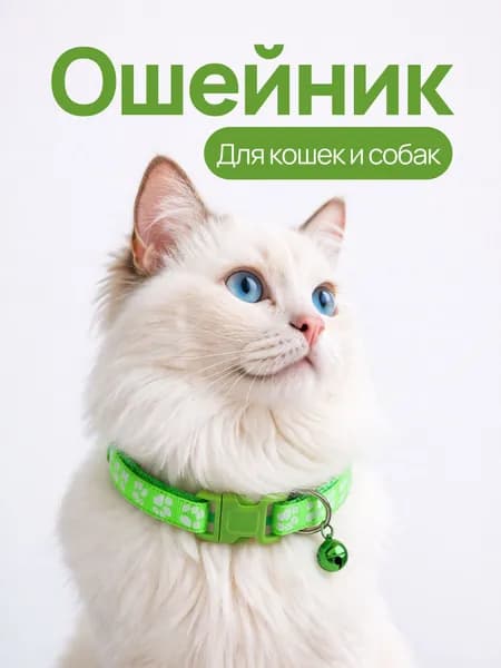 Ошейник с колокольчиком для кошек, котят, собак мелких пород и кроликов