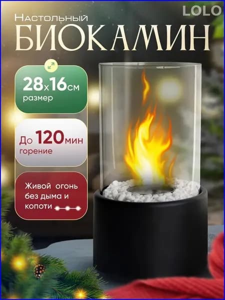 SPRINGHOUSE Биокамин Настольная установка