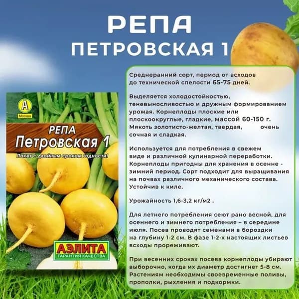 Семена Репа "Петровская 1" Агрофирма Аэлита