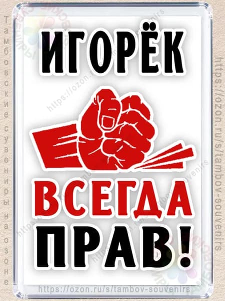 Магнит на холодильник "Игорёк всегда прав"