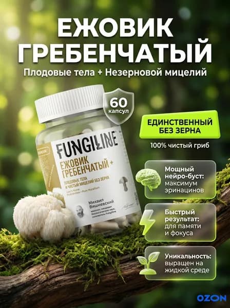 Ежовик гребенчатый, + 60 капсул
