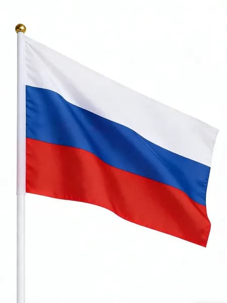Флаг России ручной 14*21 см (10 шт.) ко Дню Победы для ветеранов, парадов и торжественных мероприятий