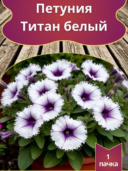 Петуния Титан белый (семена)
