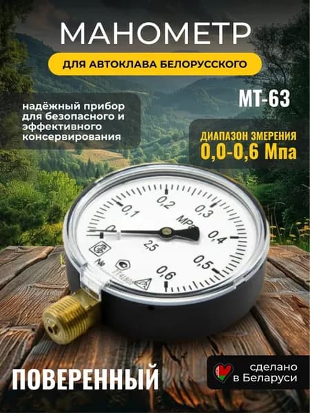 Манометр для автоклава белорусского МТ-63 0-0,6 МПа