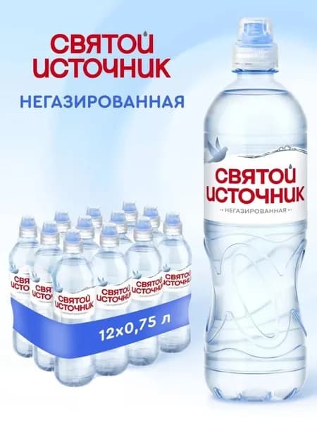 Святой Источник 0,75л.*12шт. Негаз