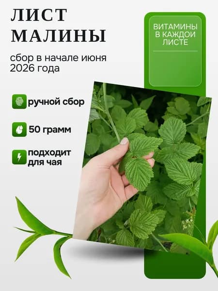 Листья малины сушеные