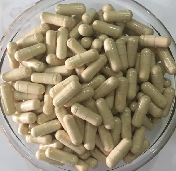 Розмариновая кислота 5% (Rosmarinic Acid 5%), Белая капсула 500 мг*100 гранулы