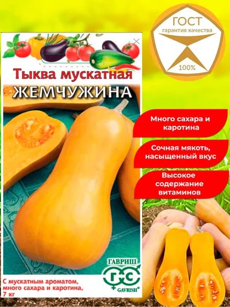 Семена тыквы мускатной Жемчужина, урожайный сорт.
