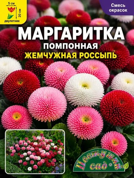 Маргаритка помпонная ЖЕМЧУЖНАЯ РОССЫПЬ смесь окрасок (Семена Цветущий Сад, 0,03 г семян в упаковке)