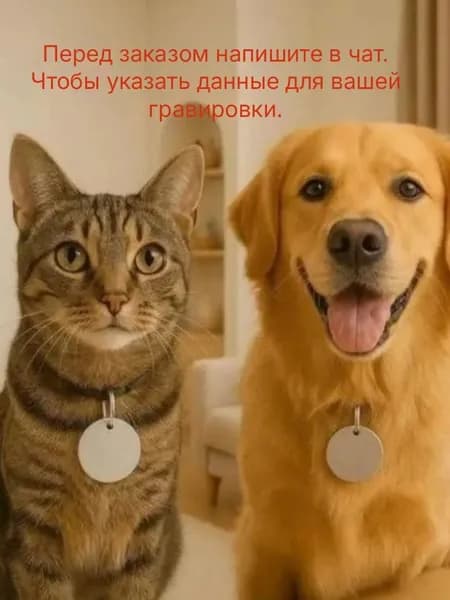 Адресник для питомца с лазерной гравировкой.
