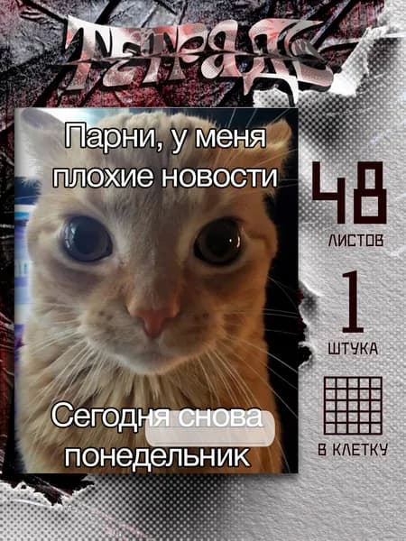 Тетрадь мем про понедельник с котом, 48 листов
