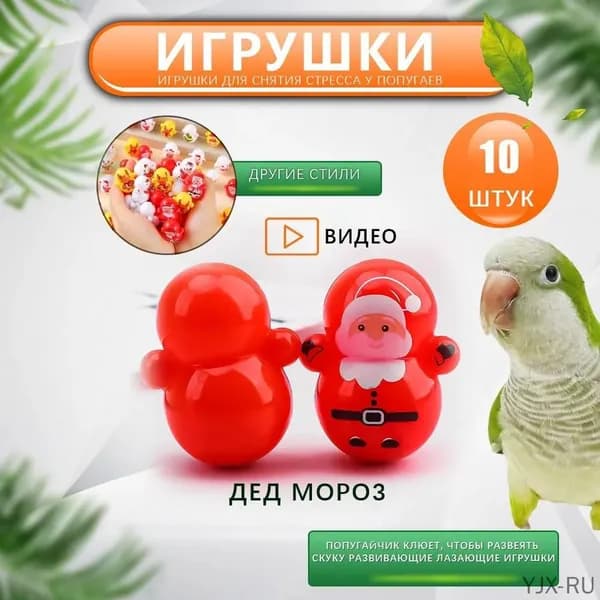 Праздничное веселье для пернатых с зимним волшебником и подношениями