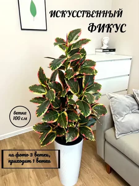Фикус, искусственные растения для декора