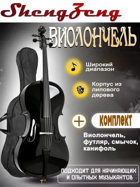 BK 4/4 - Виолончель, чехол и смычок в комплекте.