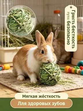 Травяной шар для грызунов 2 шт., игрушка-лакомство из тимофеевки, шар для сточки зубов, натуральная погрызушка для кролика и морской свинки, сено для кролика,