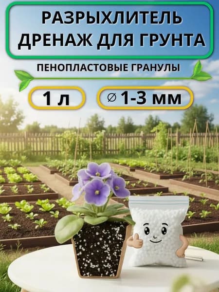 Дренаж