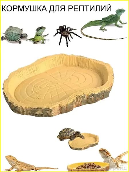 Кормушка поилка для ящериц, пауков, игуан, хамелеонов, рептилий и черепах для террариума и аквариума