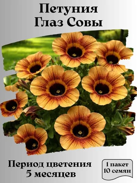 Петуния Глаз Совы, семена, 10 шт.