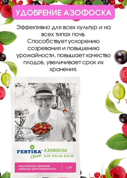 Удобрение универсальное Азофоска азотно-фосфорнокалийное для растений Фертика 1 кг