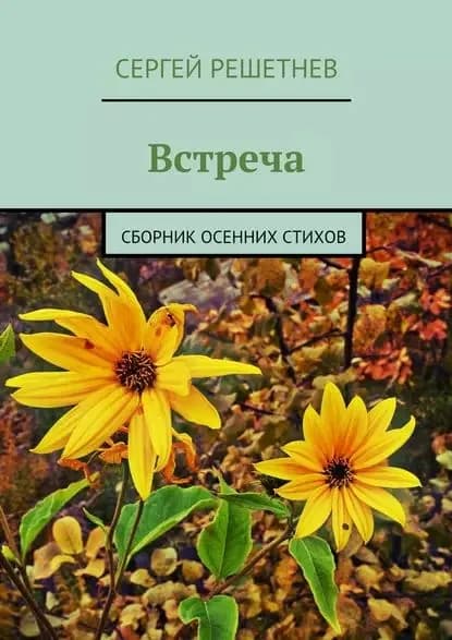 Встреча | Решетнёв Сергей | Электронная книга