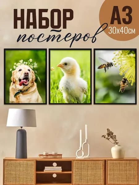 Интерьерные постеры А3 на стену, летние