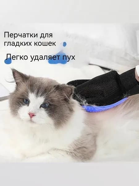 Кошки и собаки сворачивают кошачьи перчатки