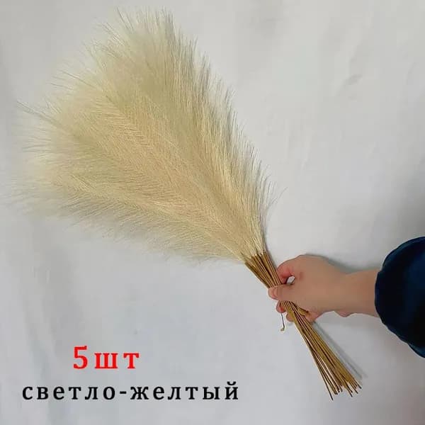 Сухоцветы Камышовая трава, 55 см, 5 шт