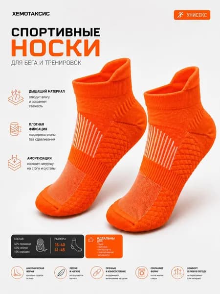 Носки Хемотаксис женские, мужские для бега, 1 пара