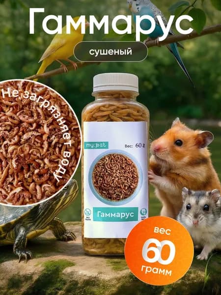 My pet Корм гаммарус тушка натуральный универсальный сухой, вкусняшка для аквариумных животных, рептилий и улиток, рыбок, сухопутных и красноухих водоплавающих черепах в бутылке, 60г