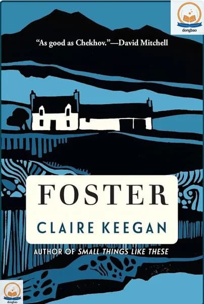 Foster. Клэр Киган. Современная ирландская литература