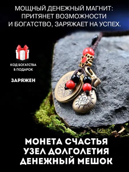 Денежный талисман амулет для кошелька и дома с символами процветания и изобилия